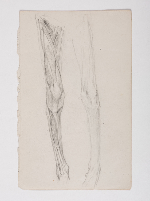 Jacques Lalaing de - Etude anatomique de jambes