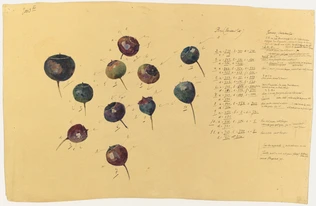 Onze études de baies de lierre et pavot servant de table d'échantillonnage de couleurs chiffrées (ébénisterie et cristallerie) - Emile Gallé