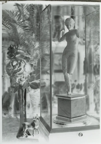 Paul Haviland - Statue de femme dans une vitrine