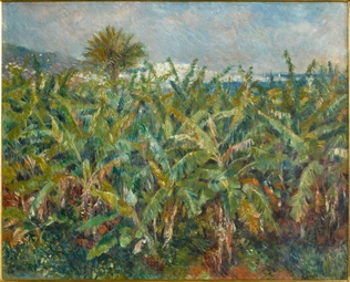 Champ de bananiers - Auguste Renoir