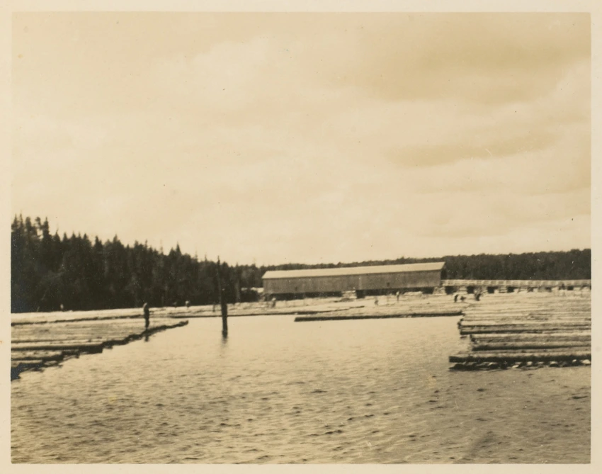 Paul Haviland - L'usine et tronçons de bois flottant sur la rivière, Canada