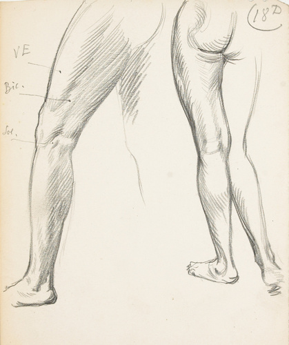 Eugène Grasset - Jambe et cuisse