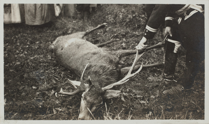 Anonyme - Equipage de Chézelles