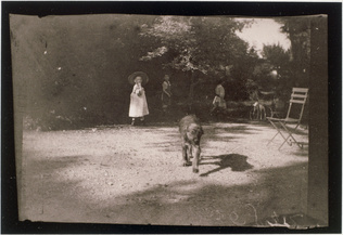Pierre Bonnard - Un chien marchant vers l'objectif de Bonnard, au fond Robert et...