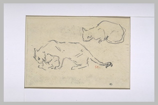 Théophile Alexandre Steinlen - Deux chats rampant vers la gauche