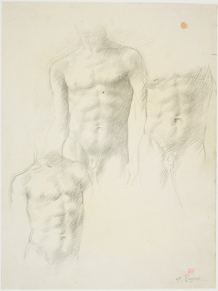 Alphonse Legros - Trois études de torse