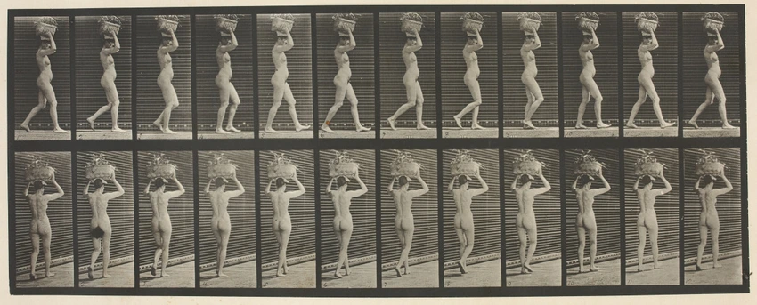 Eadweard Muybridge - Femme nue portant un panier sur la tête