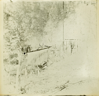 Paul Burty Haviland - Gibiers morts, dans la forêt