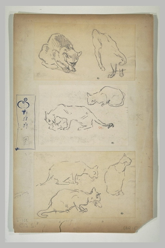 Théophile Alexandre Steinlen - Deux chats rampant vers la gauche
