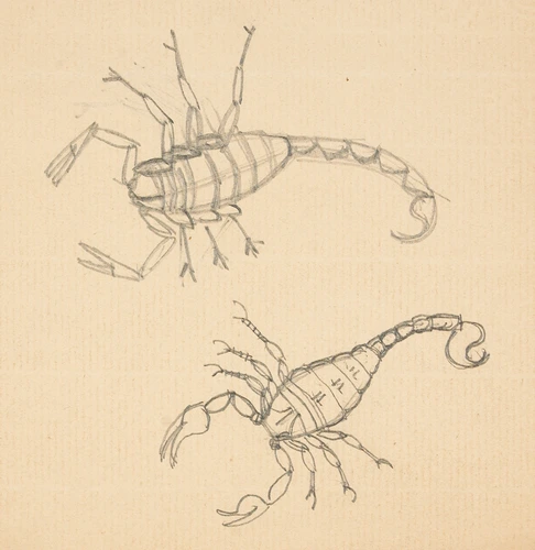 Eugène Grasset - Scorpions