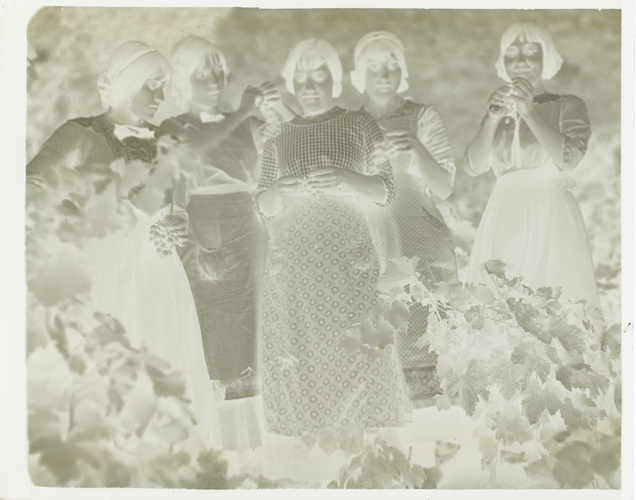Paul Burty Haviland - Portrait de cinq femmes, Céret