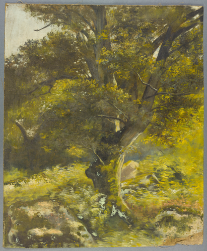 Alphonse Osbert - Fontainebleau, un arbre en forêt