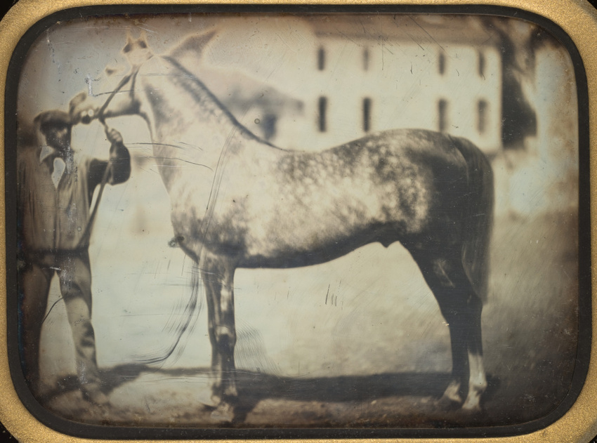 Louis Bisson - Cheval tenu par un homme