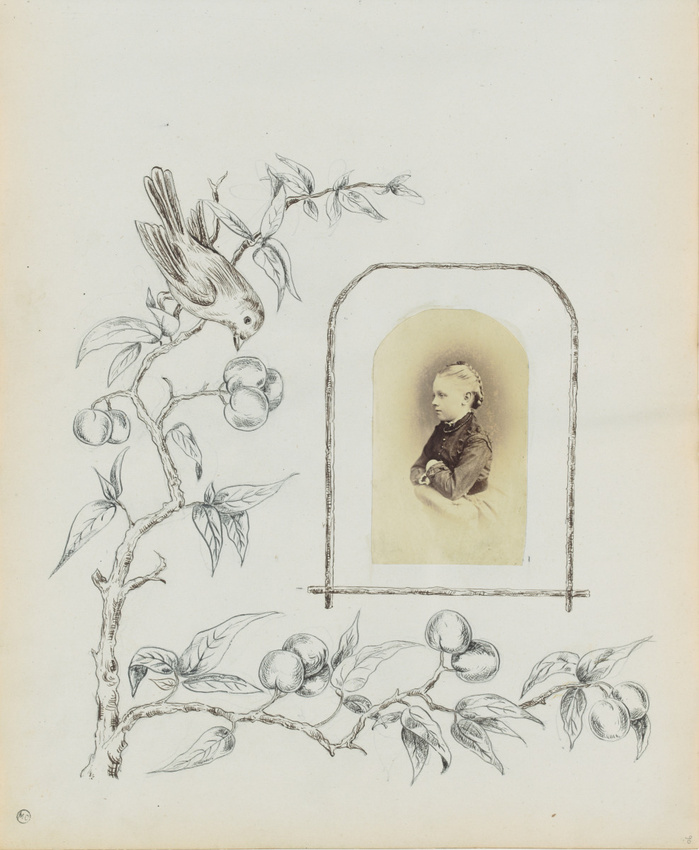 Georgiana Louisa Berkeley - Branche d'arbre, fruits et oiseau avec le portrait d...
