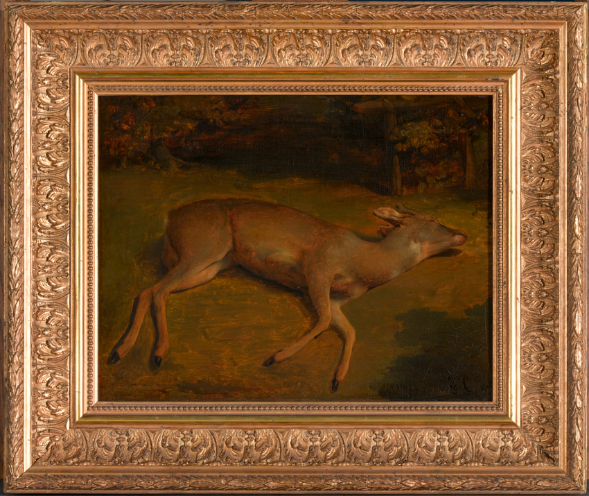 Biche morte - Gustave Courbet