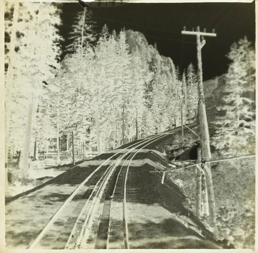 Paul Haviland - Voie de chemin de fer et forêt de sapins