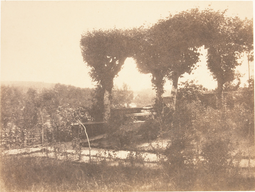Charles Marville - Paysage avec quatre arbres