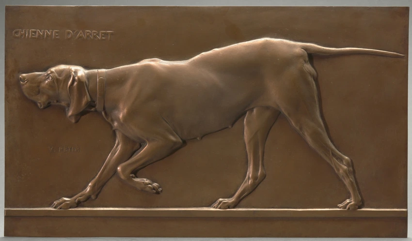 Fauvette chienne d'arrêt - Victor Peter