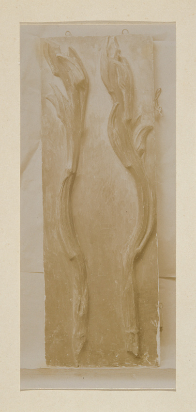 Anonyme - Limodorum arborivum, relief, pour application à un meuble