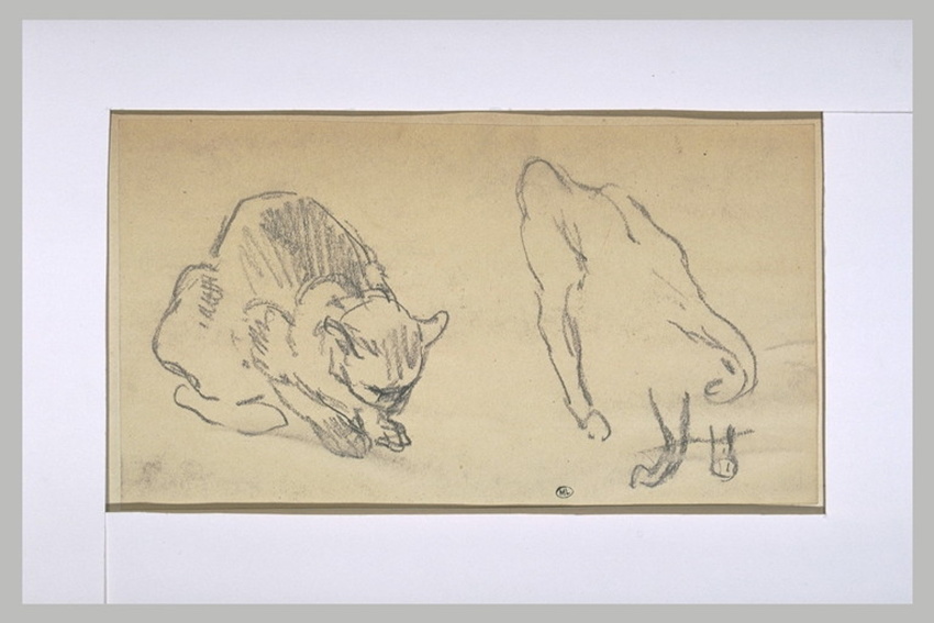 Théophile Alexandre Steinlen - Deux chats