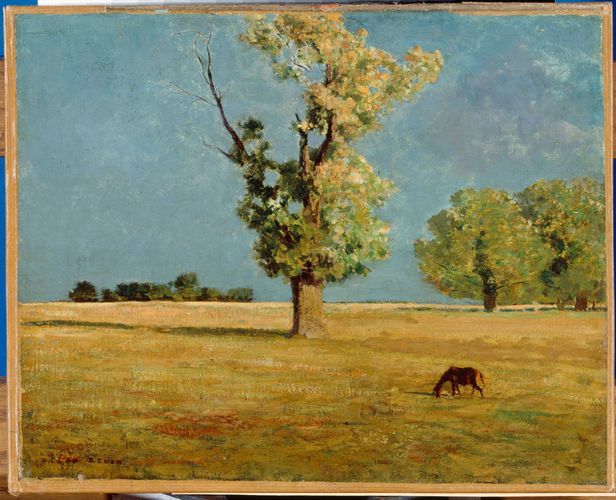 Médoc, l'arbre - Odilon Redon
