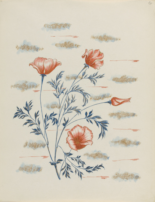 Louis Hestaux - Coquelicots
