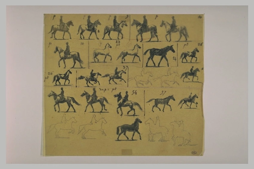 Paul Dubois - Etudes d'allures d'une cheval, prises d'après des photographies