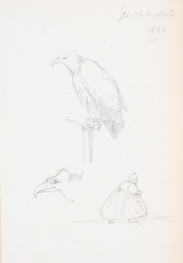 Victor Ruprich-Robert - Jardin des plantes