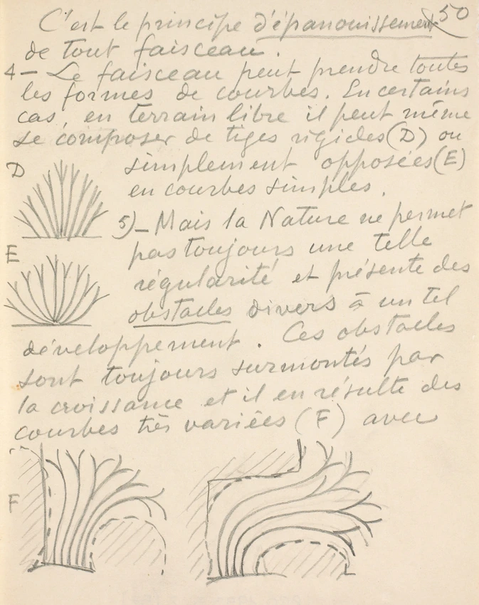 Eugène Grasset - Tiges de fleurs