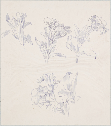 Claudius Popelin - Cinq études de fleurs et de feuilles de giroflée