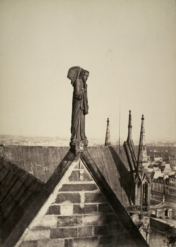 Charles Nègre - Notre Dame de Paris : Ange musicien du pignon occidental de la n...