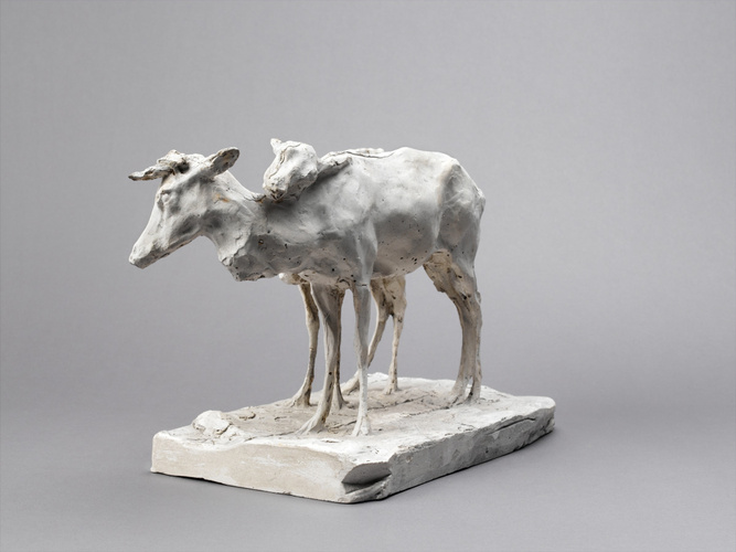 Cerf et biche