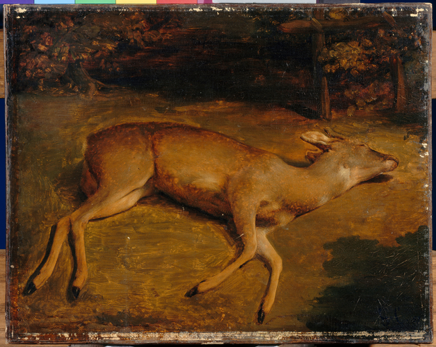 Gustave Courbet - Biche morte