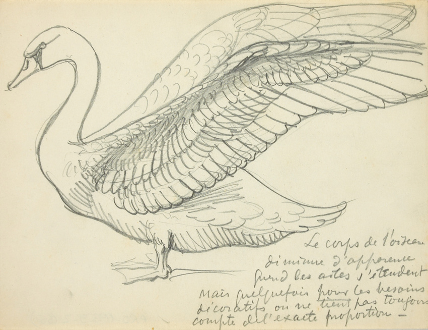 Eugène Grasset - Cygne de profil