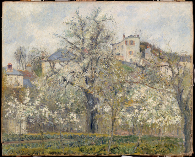 絵画 Camille Pissarro Printemps, Pruniers en Printemps. Pruniers en fleurs - Camille Pissarro | Musée d'Orsay