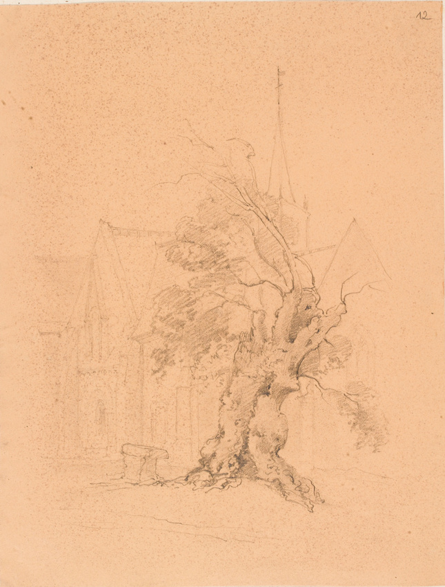 Louis Boitte - Maison et arbre