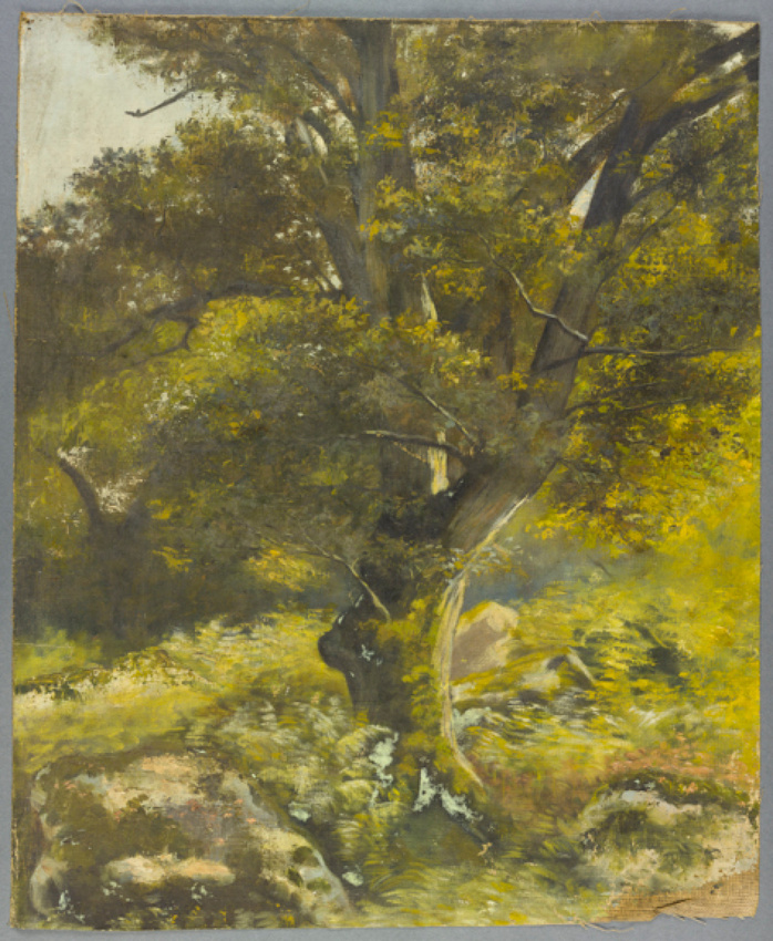 Alphonse Osbert - Fontainebleau, un arbre en forêt