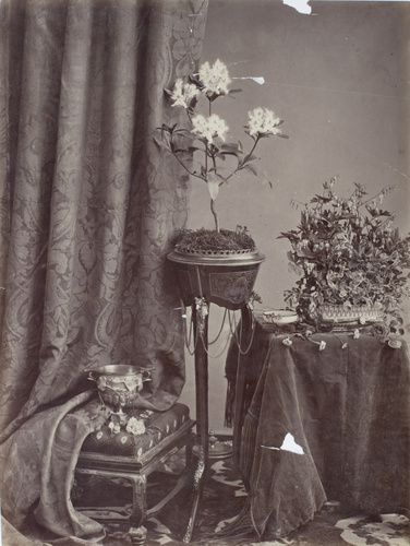 Anonyme - Nature morte