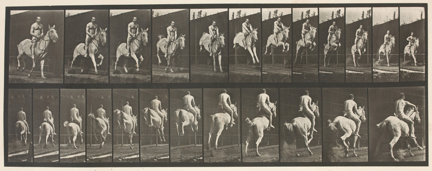 Eadweard Muybridge - Saut d'obstacle