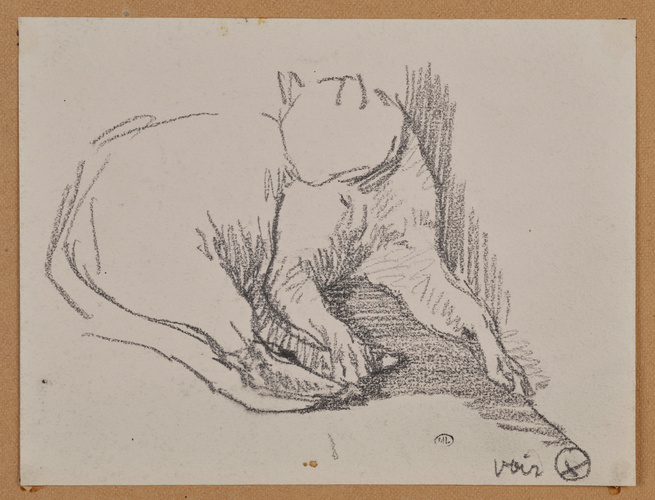 Théophile Alexandre Steinlen - Chat à demi-couché, la tête de trois quarts à gau...