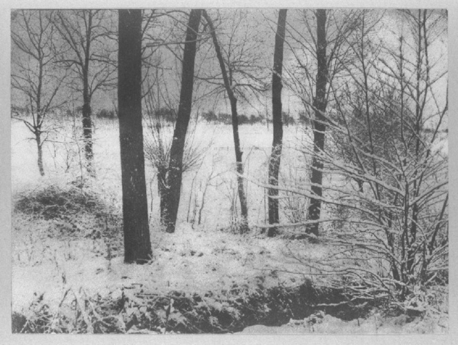 Charles Augustin Lhermitte - Paysage d'hiver, arbres sous la neige