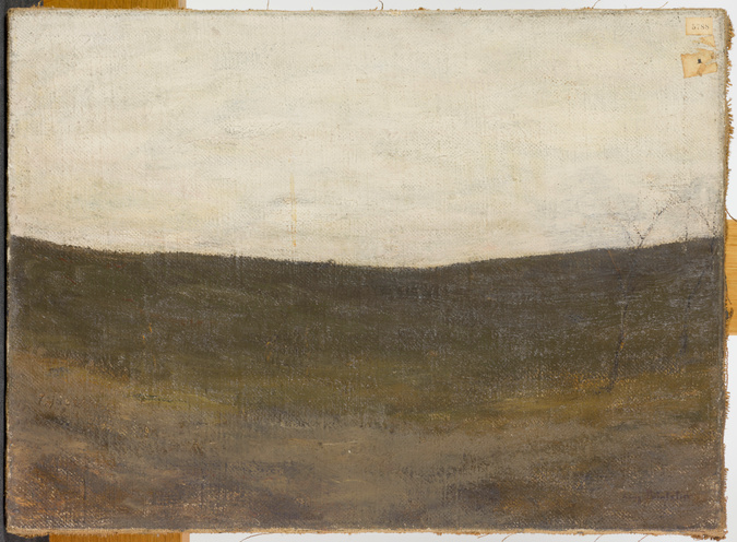 Auguste Pointelin - Une friche