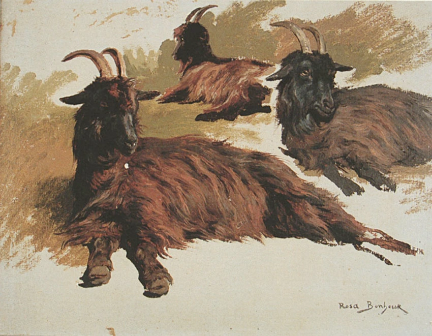 Trois chèvres au repos - Rosa Bonheur