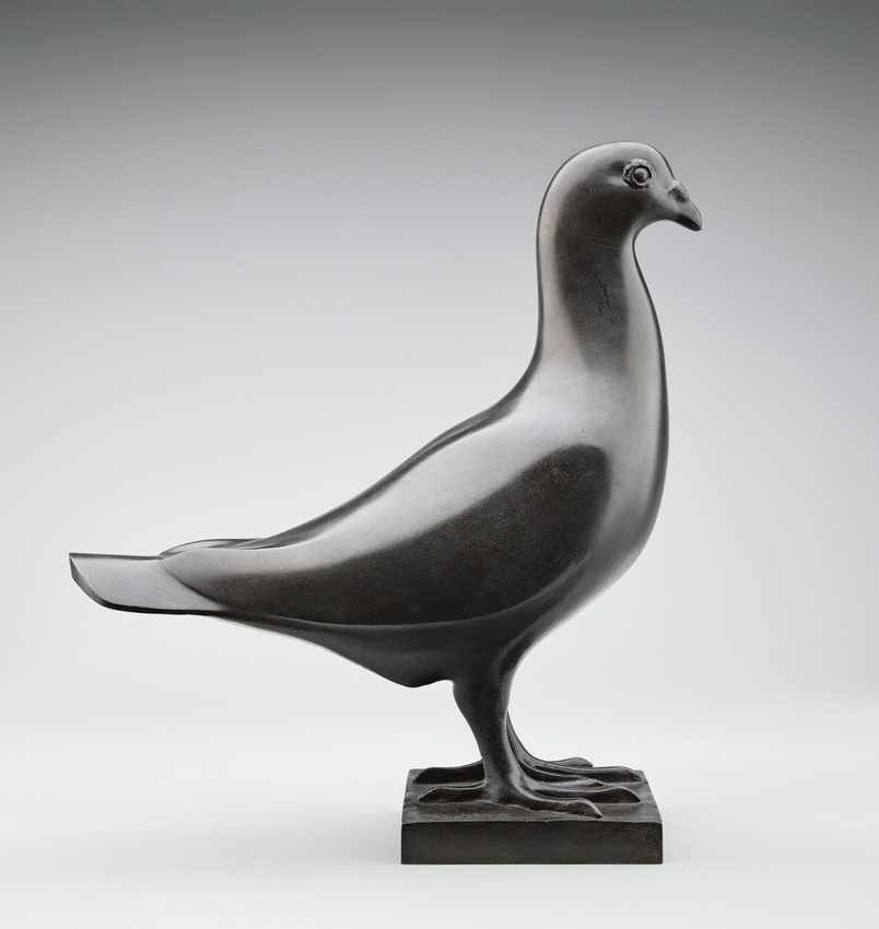 François Pompon - Pigeon voyageur