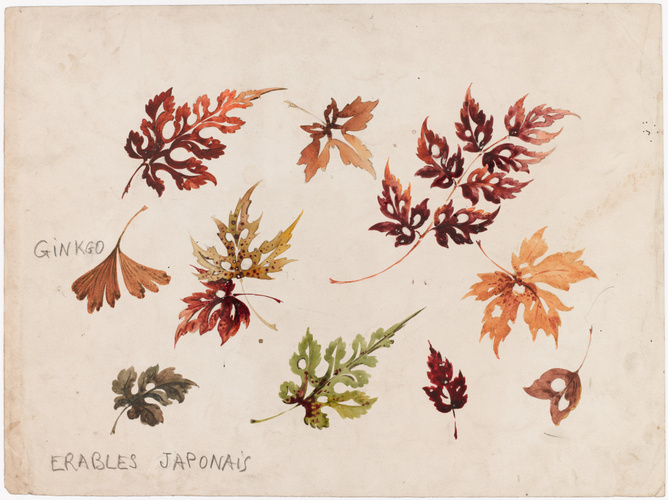 Emile Gallé - Ginkgo et érables japonais