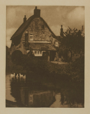 Alvin Langdon Coburn - The Duck Pond