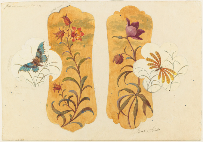 Emile Gallé - Modèle de décor pour une potiche en faience : jacinthe des bois et...