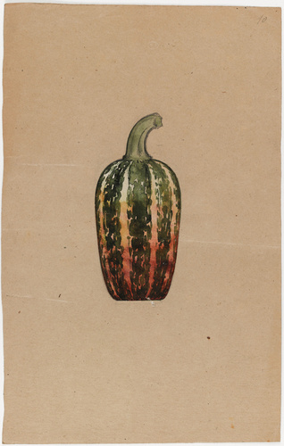 Emile Gallé - Vase-courge