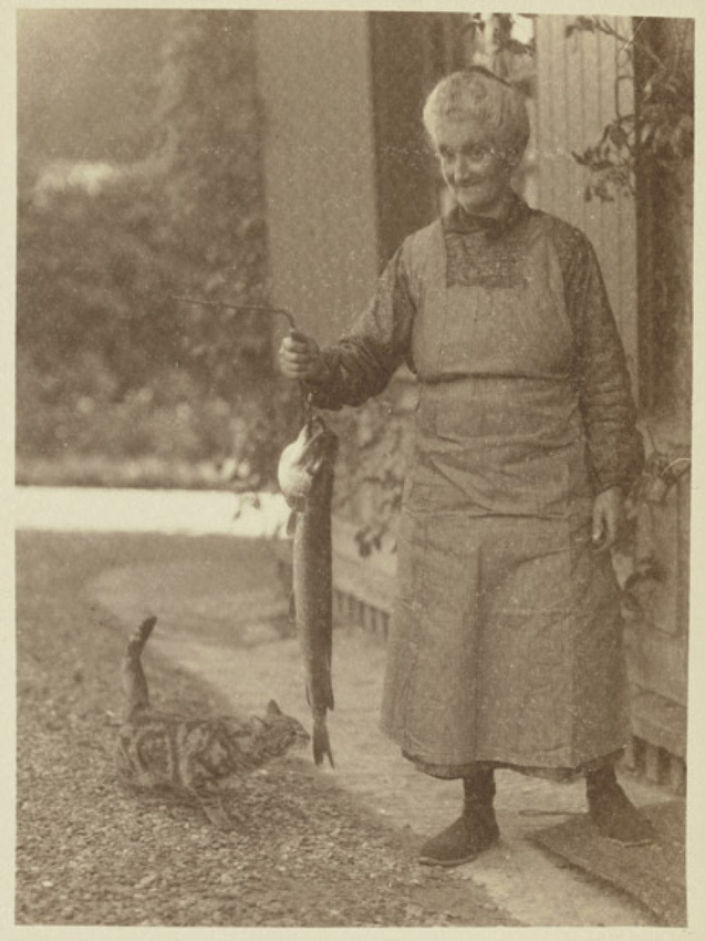 Charles Augustin Lhermitte - Femme agée présentant un gros poisson à un chat