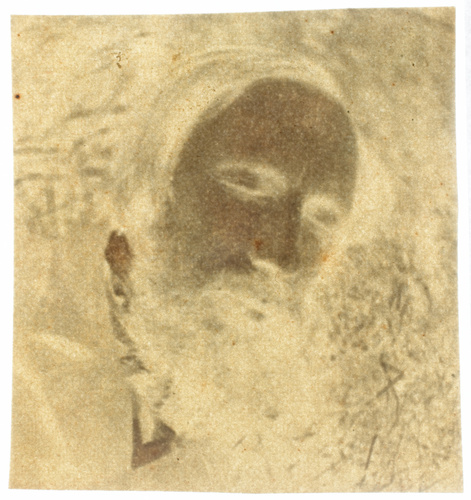 Auguste Vacquerie - Autoportrait, dans l'herbe